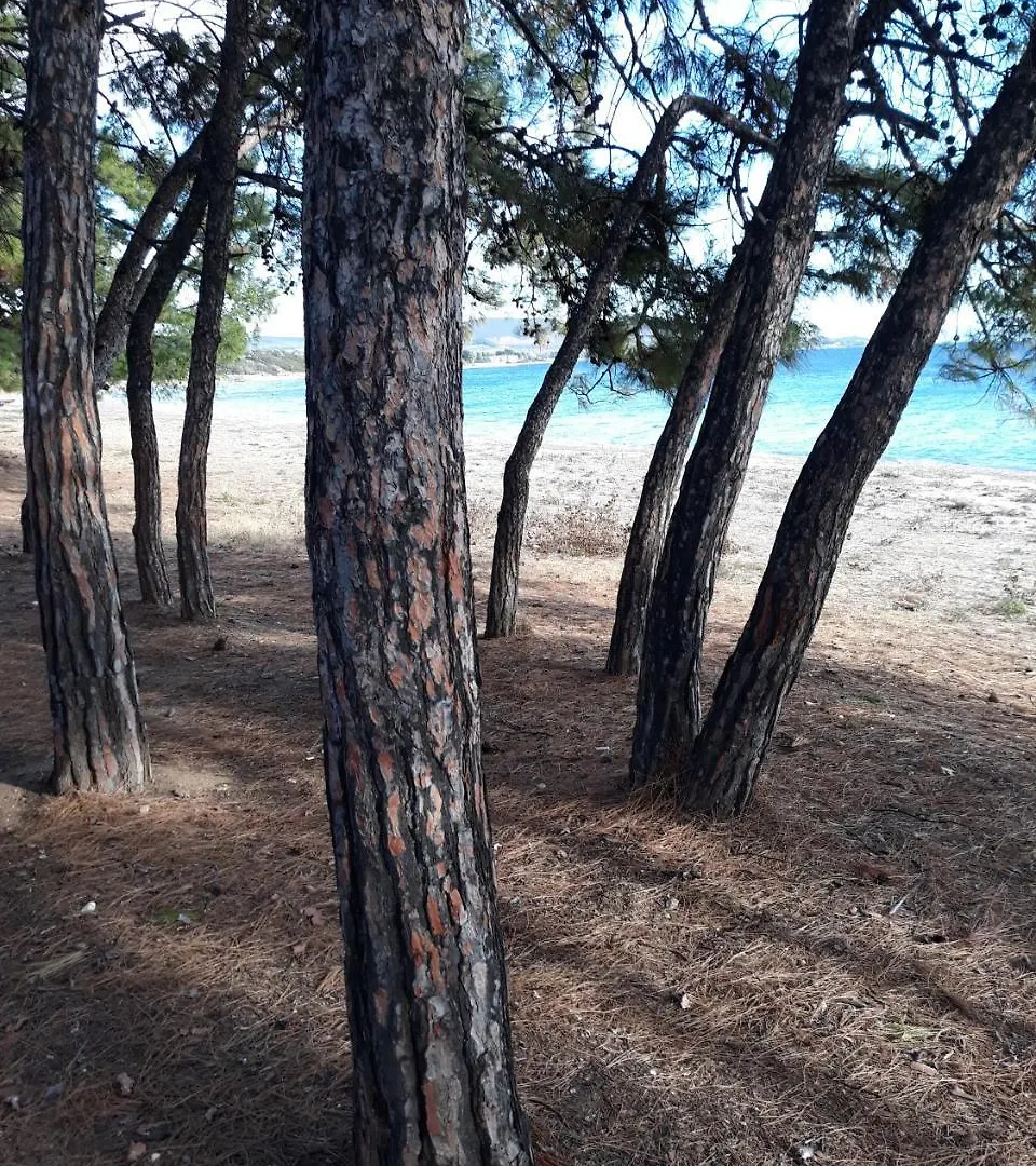 Achilleas Apartments Kalyves Polygyrou Greece